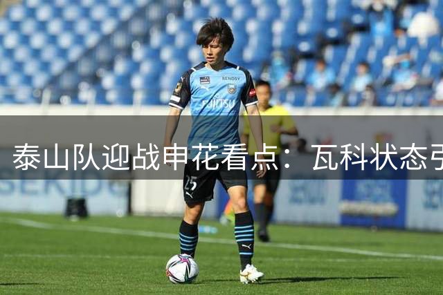 泰山队迎战申花看点：瓦科状态引期待 唐田巧排兵