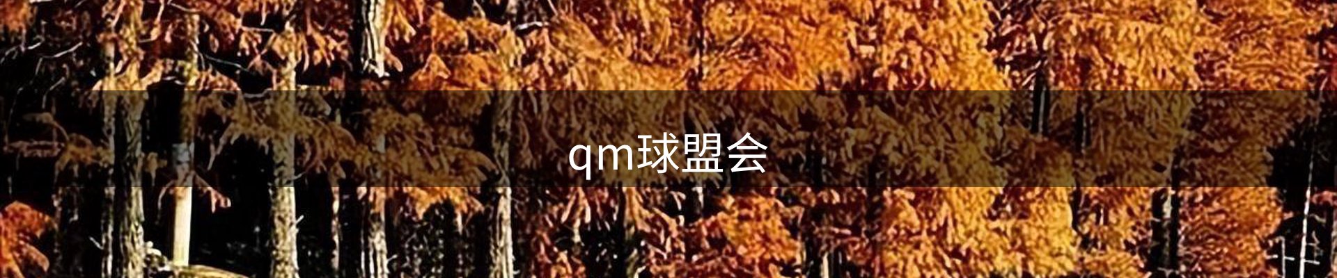 qm球盟会·(中国)-球盟会